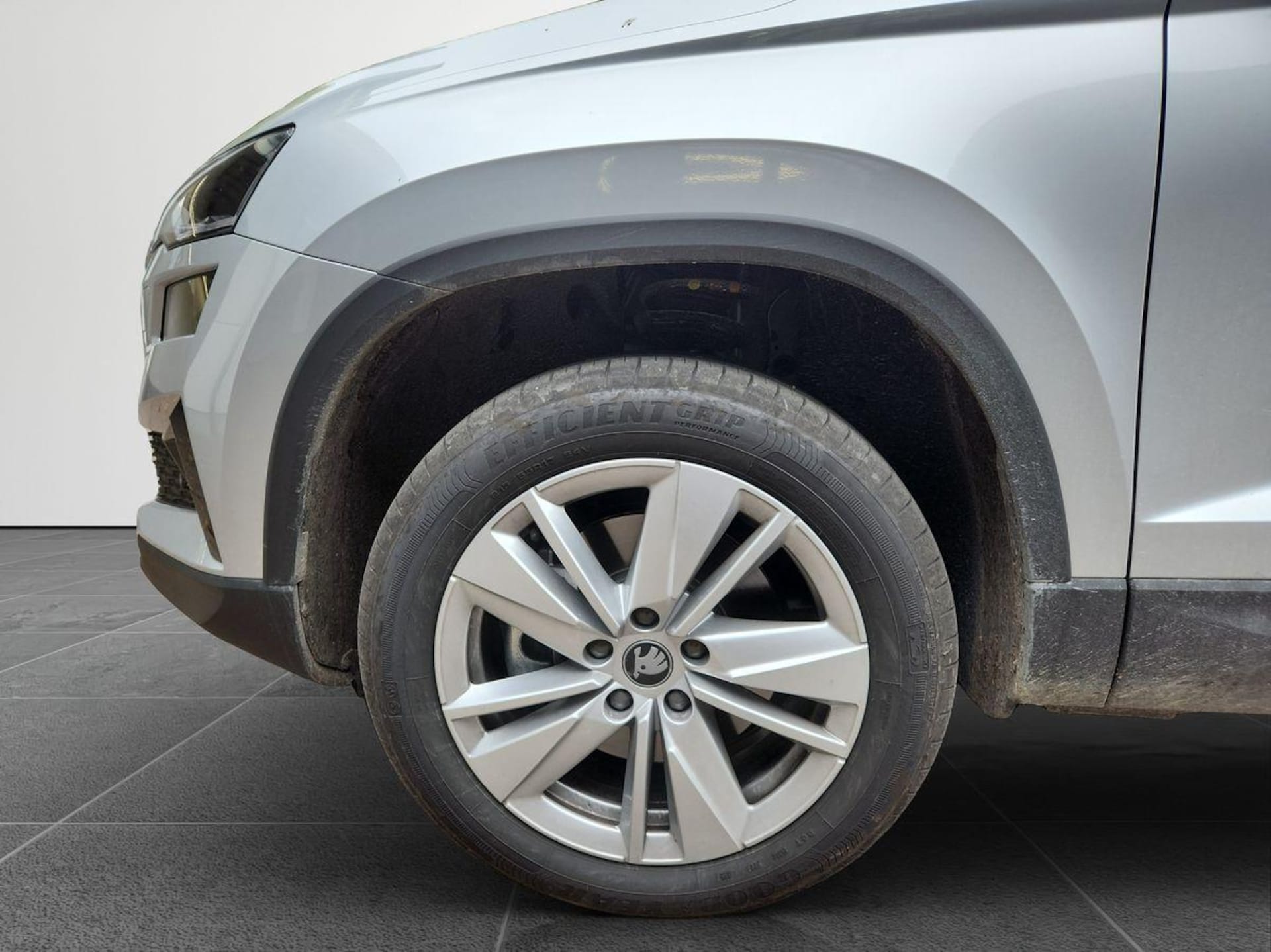 Skoda Karoq Selection