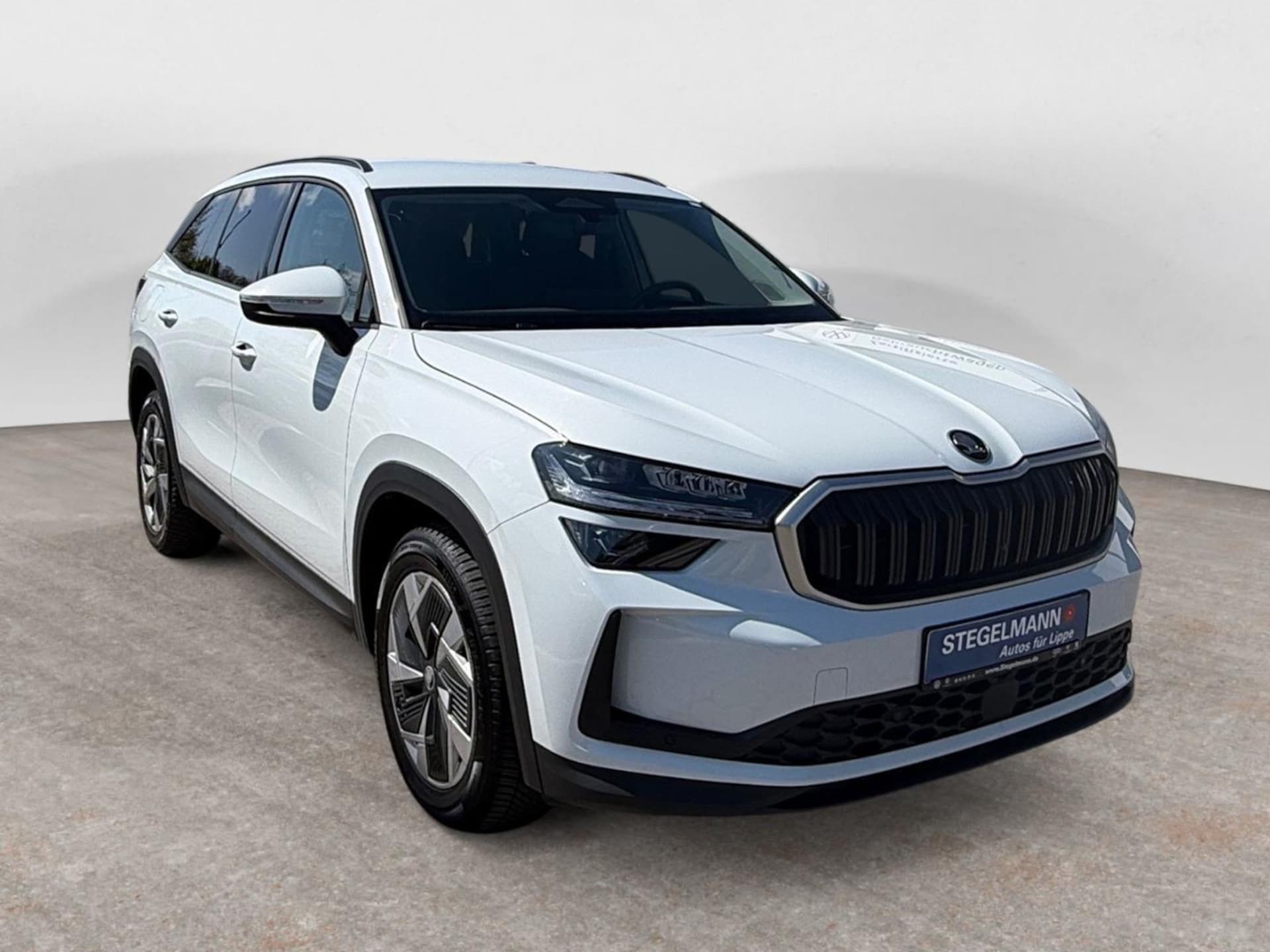 Skoda Kodiaq Selection