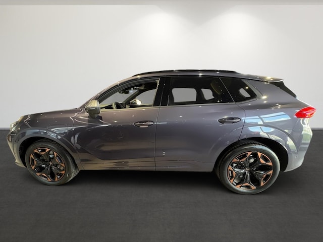 Bild des Autos 6