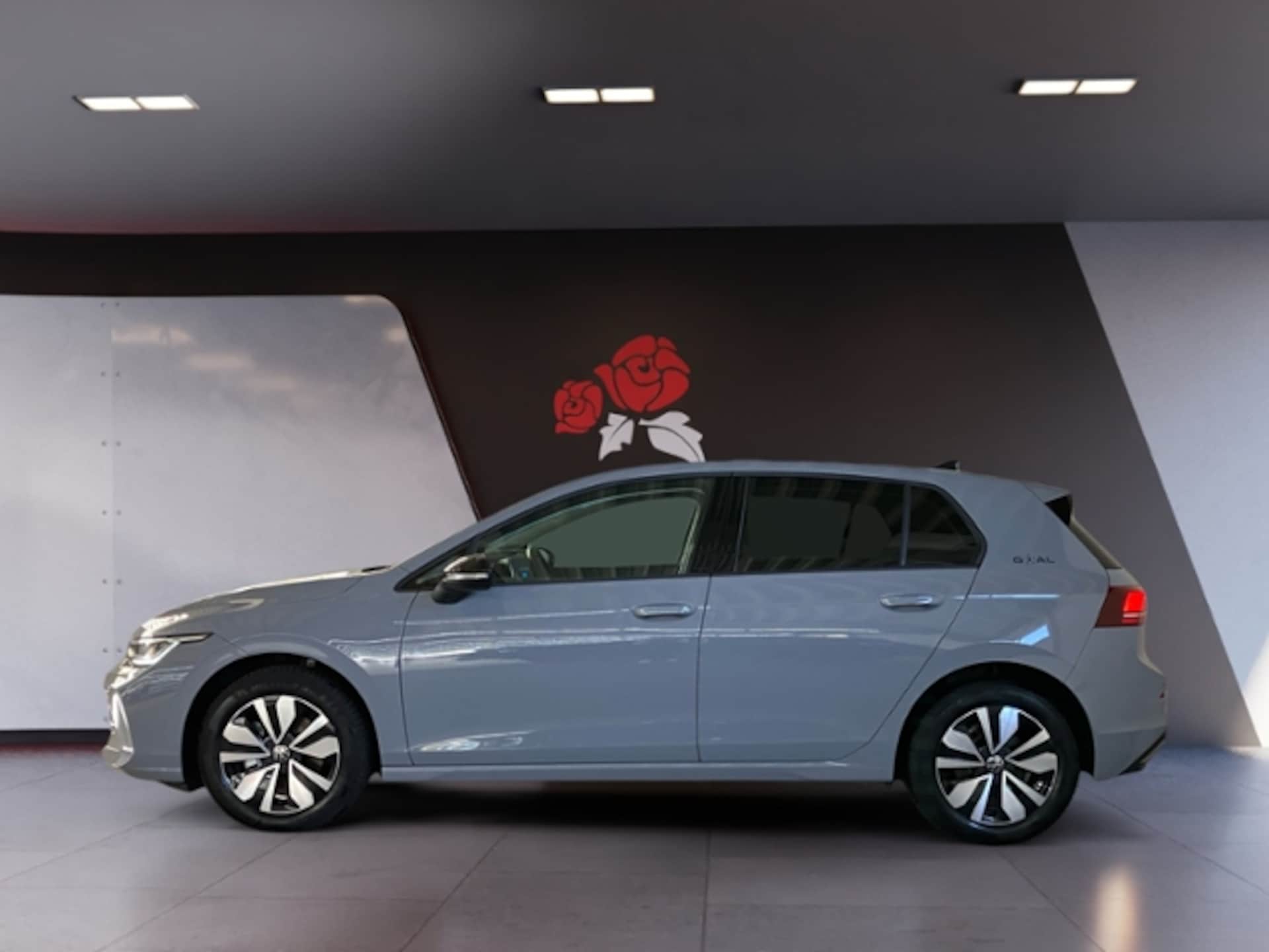 Volkswagen Golf Goal