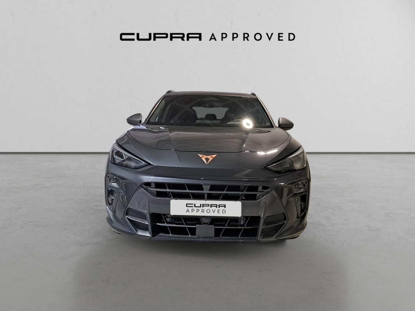 CUPRA Terramar 1.5 eTSI DSG 110 kW (150 CV) — photo 12