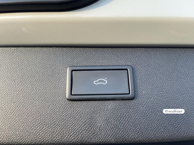 Bild des Autos 16
