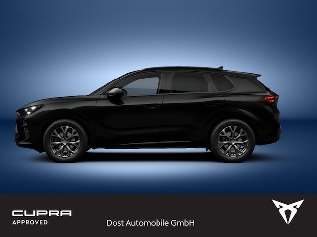 Bild des Autos 4