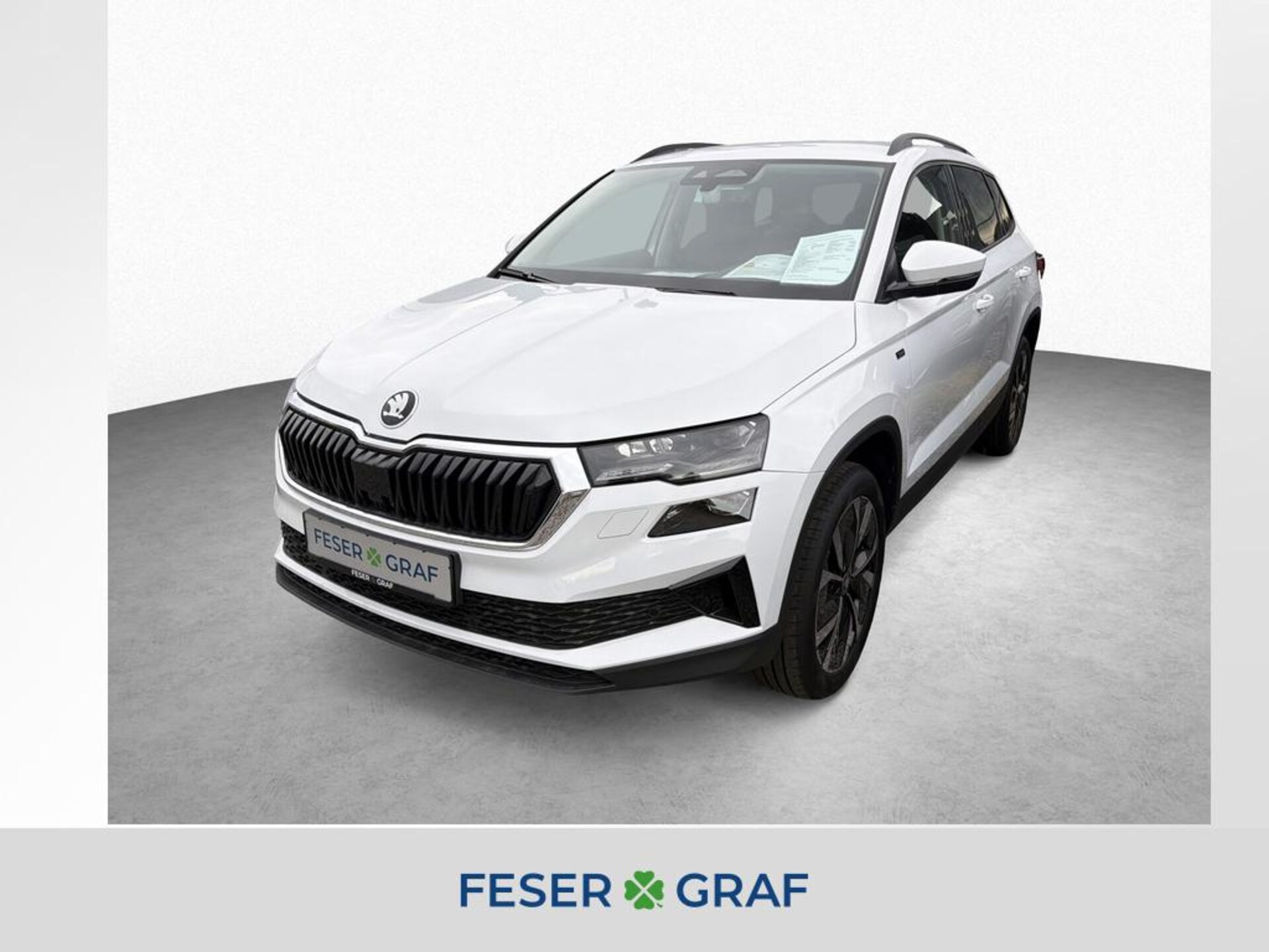 Skoda Karoq Selection
