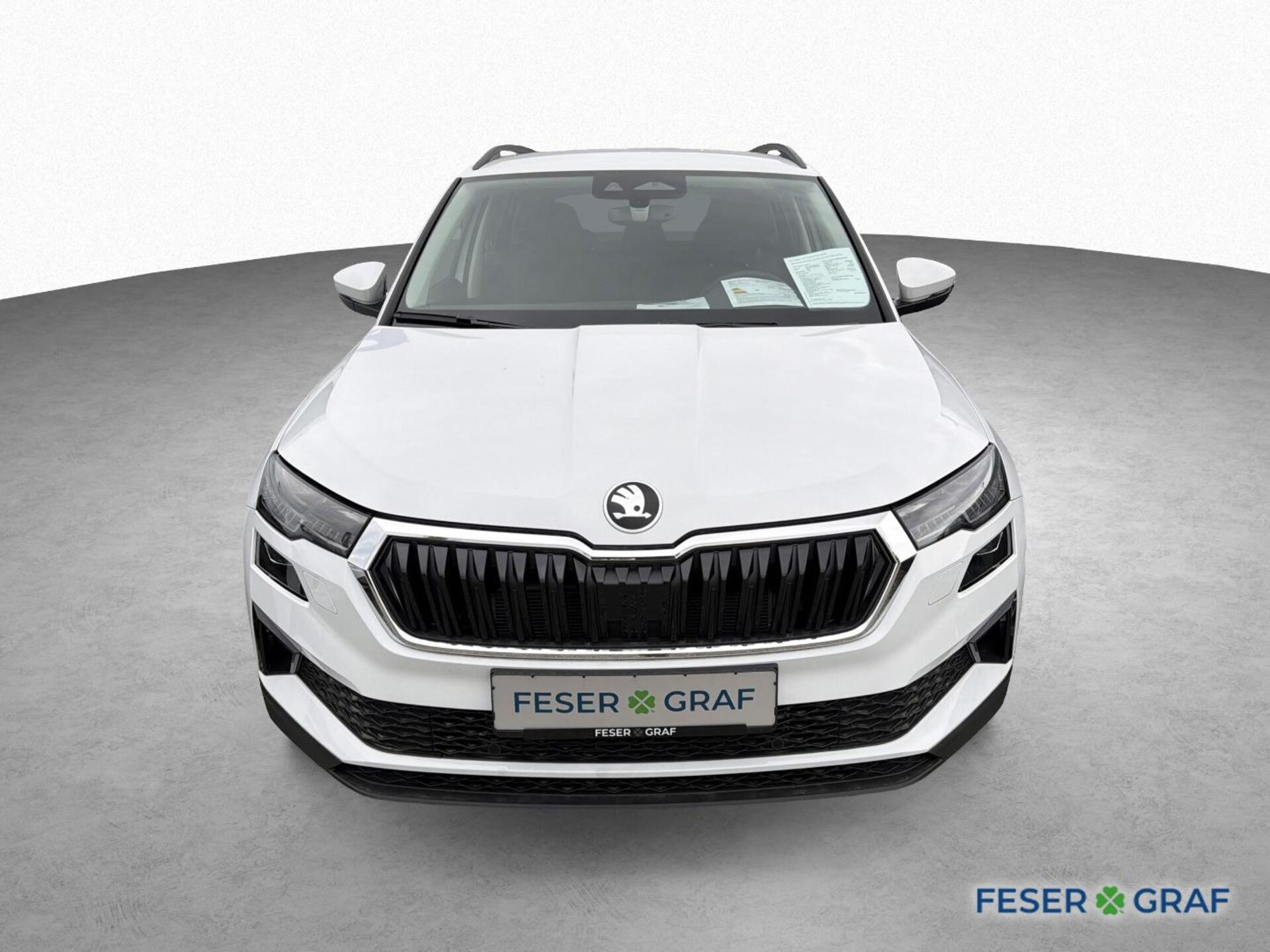 Skoda Karoq Selection
