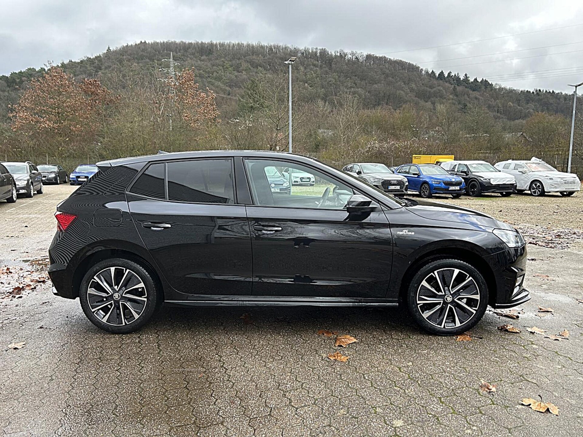 Skoda Fabia Monte Carlo