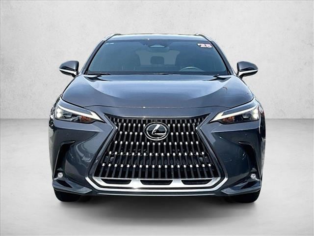 2025 Lexus NX 250