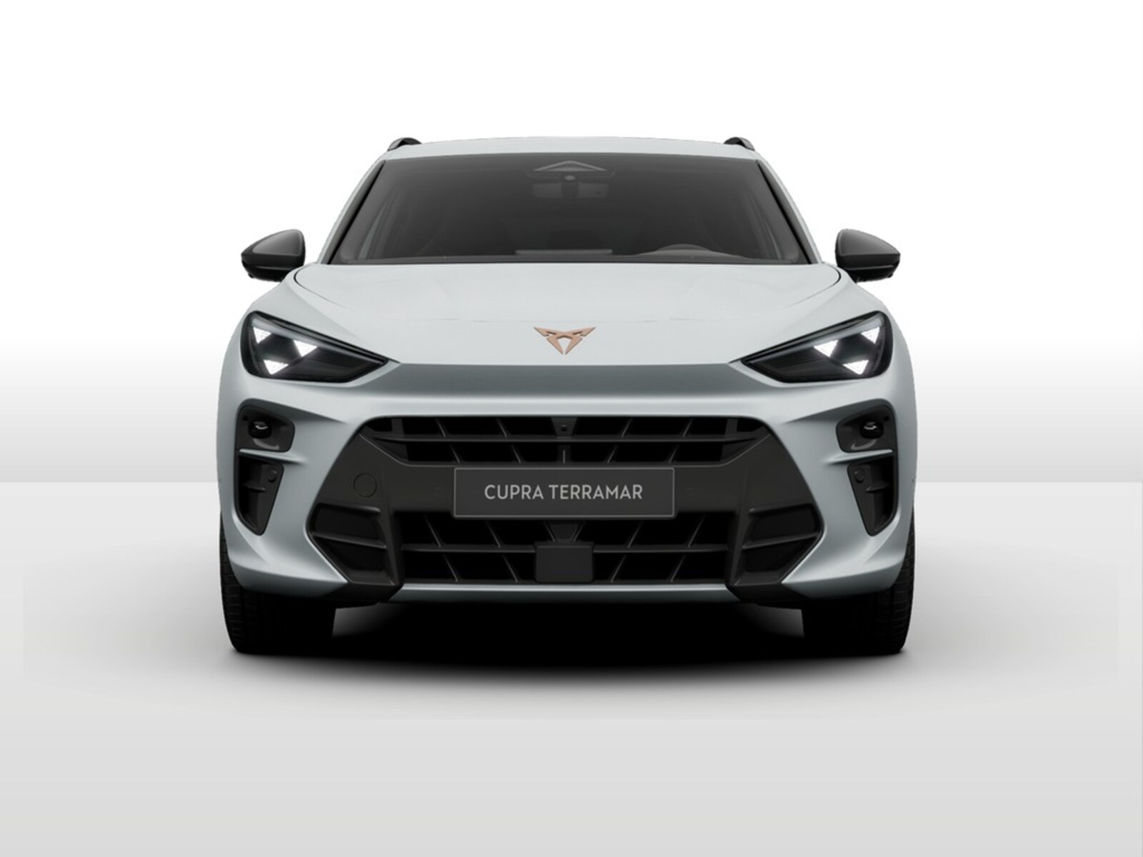 CUPRA Terramar – Bild 2