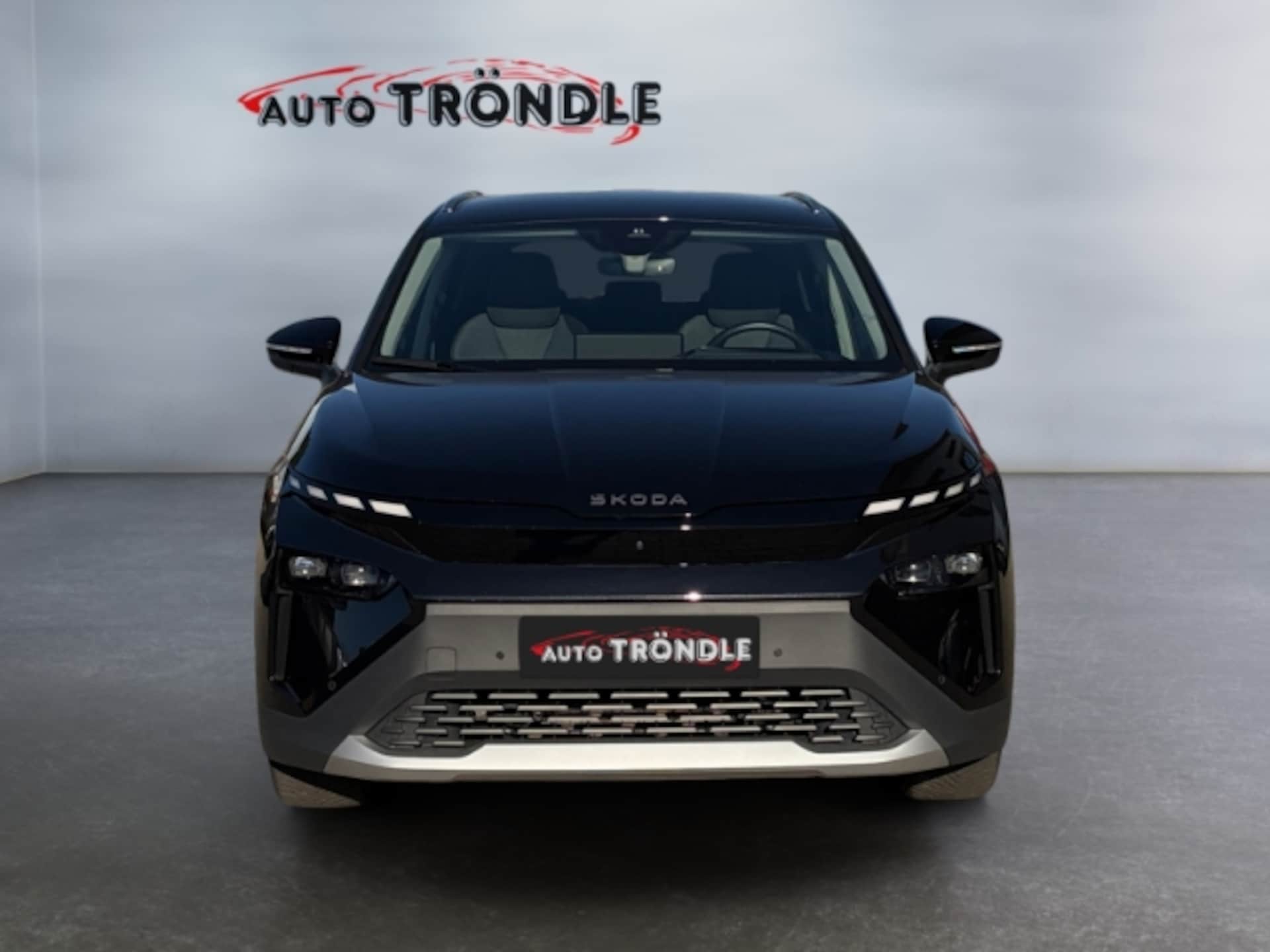 Skoda Elroq 85