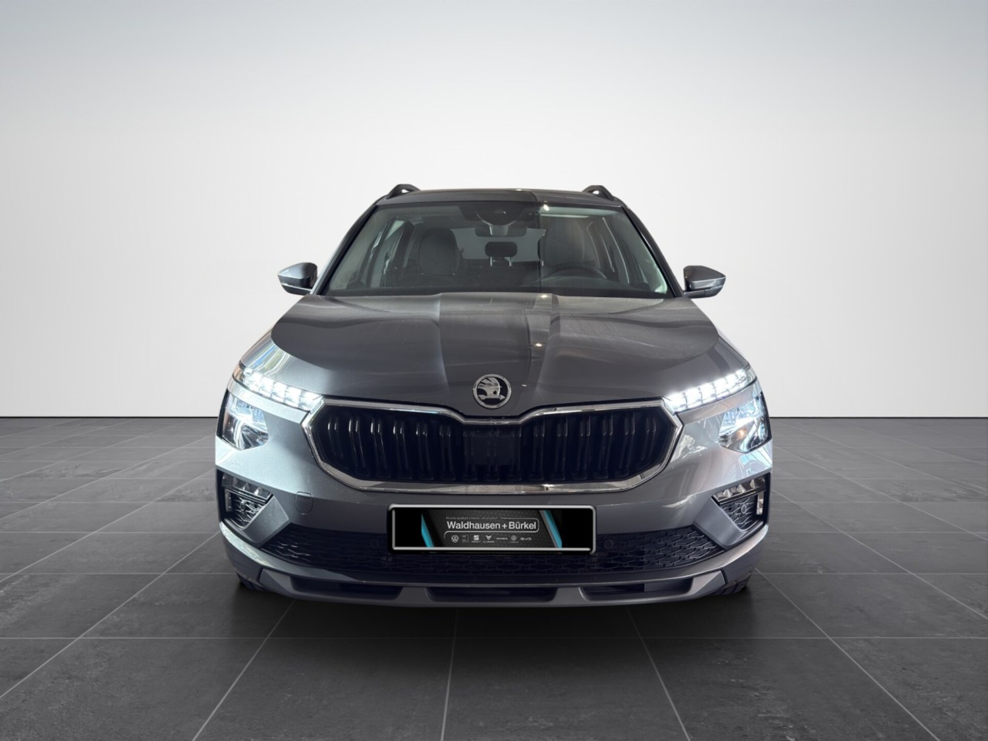 Skoda Kamiq Selection