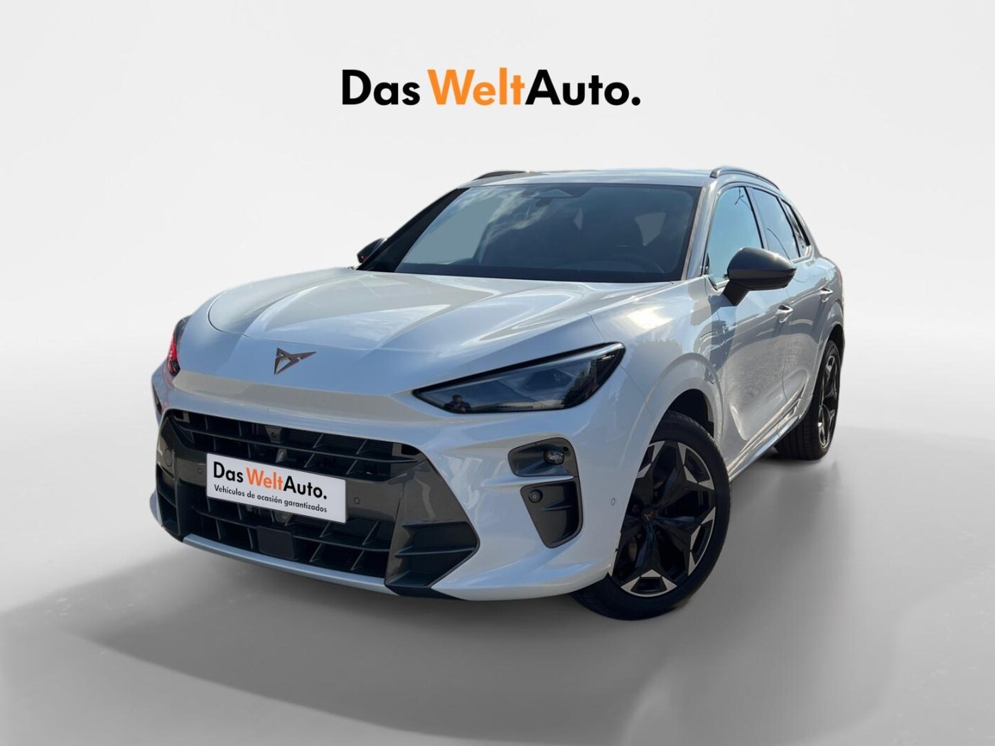 CUPRA Terramar 1.5 eTSI DSG 110 kW (150 CV) — photo 13