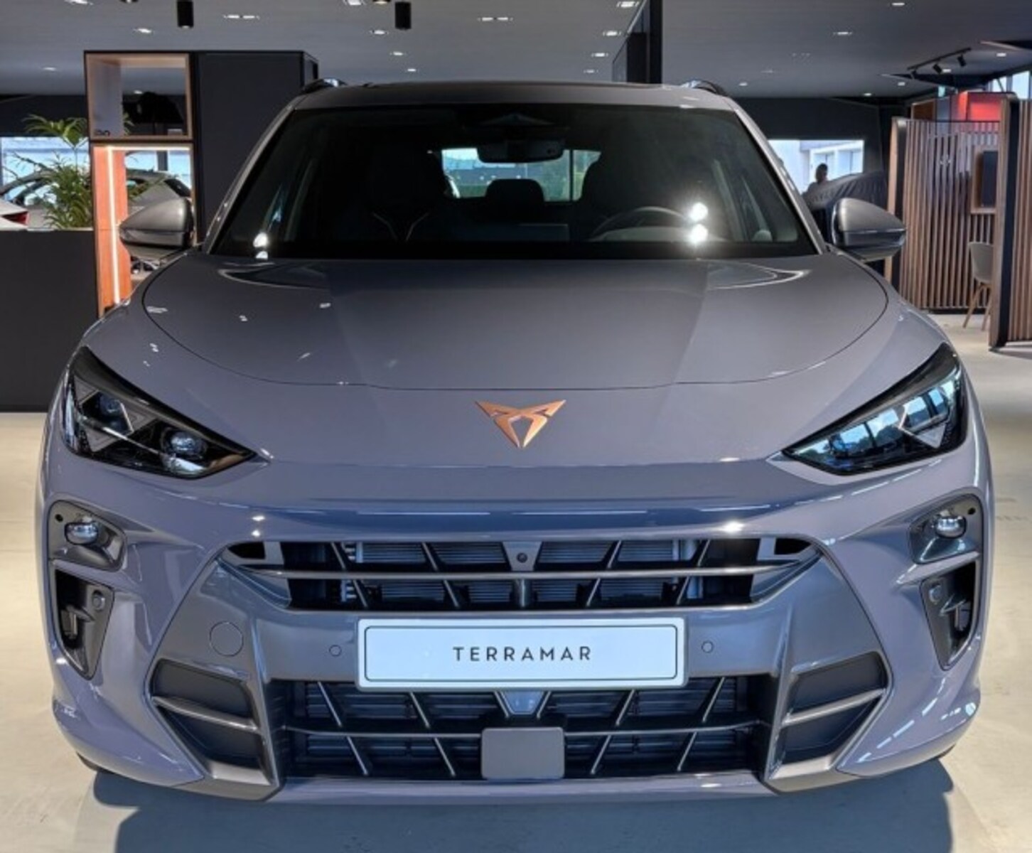 CUPRA Terramar – Bild 3