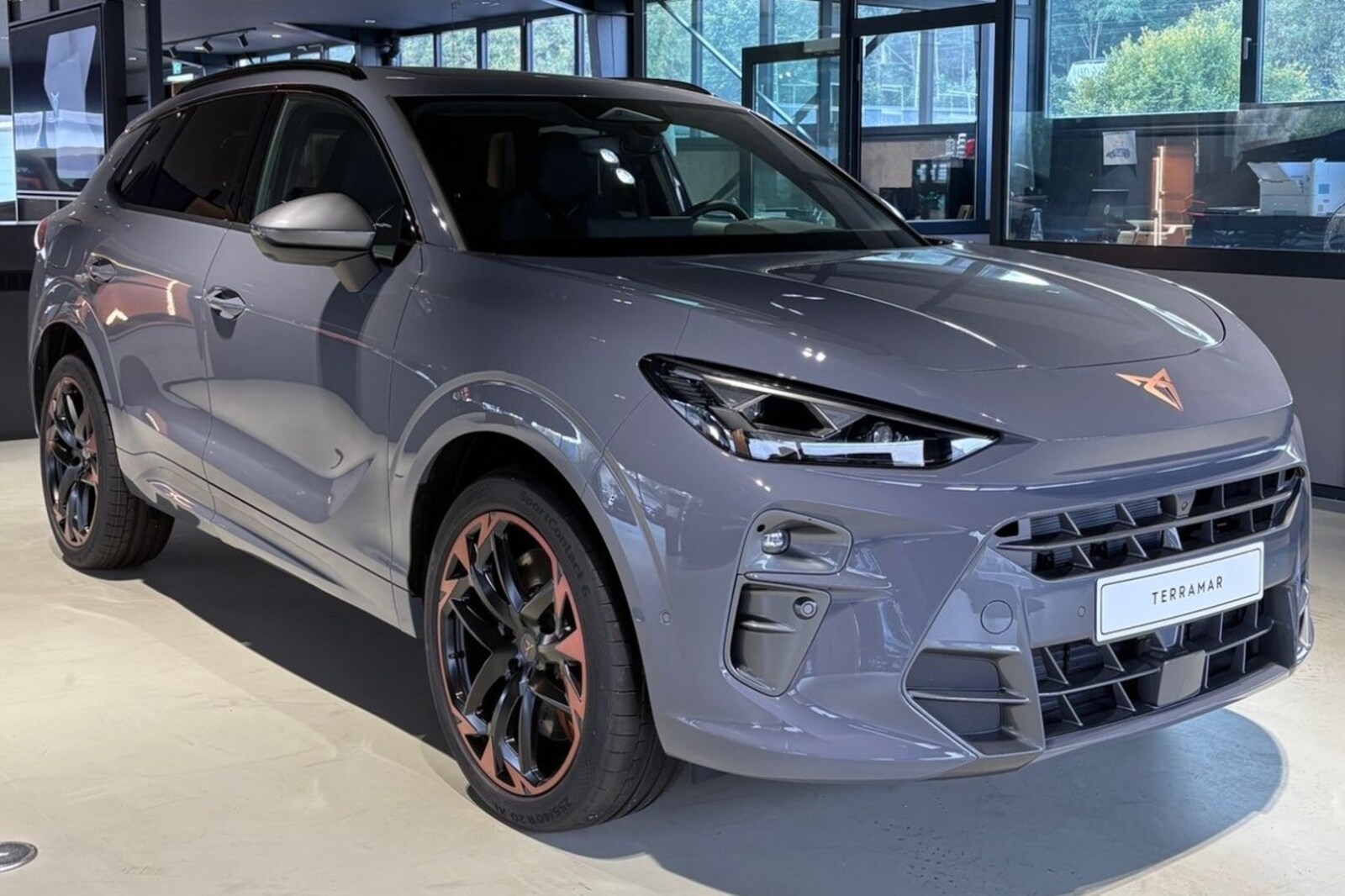 CUPRA Terramar – Bild 2
