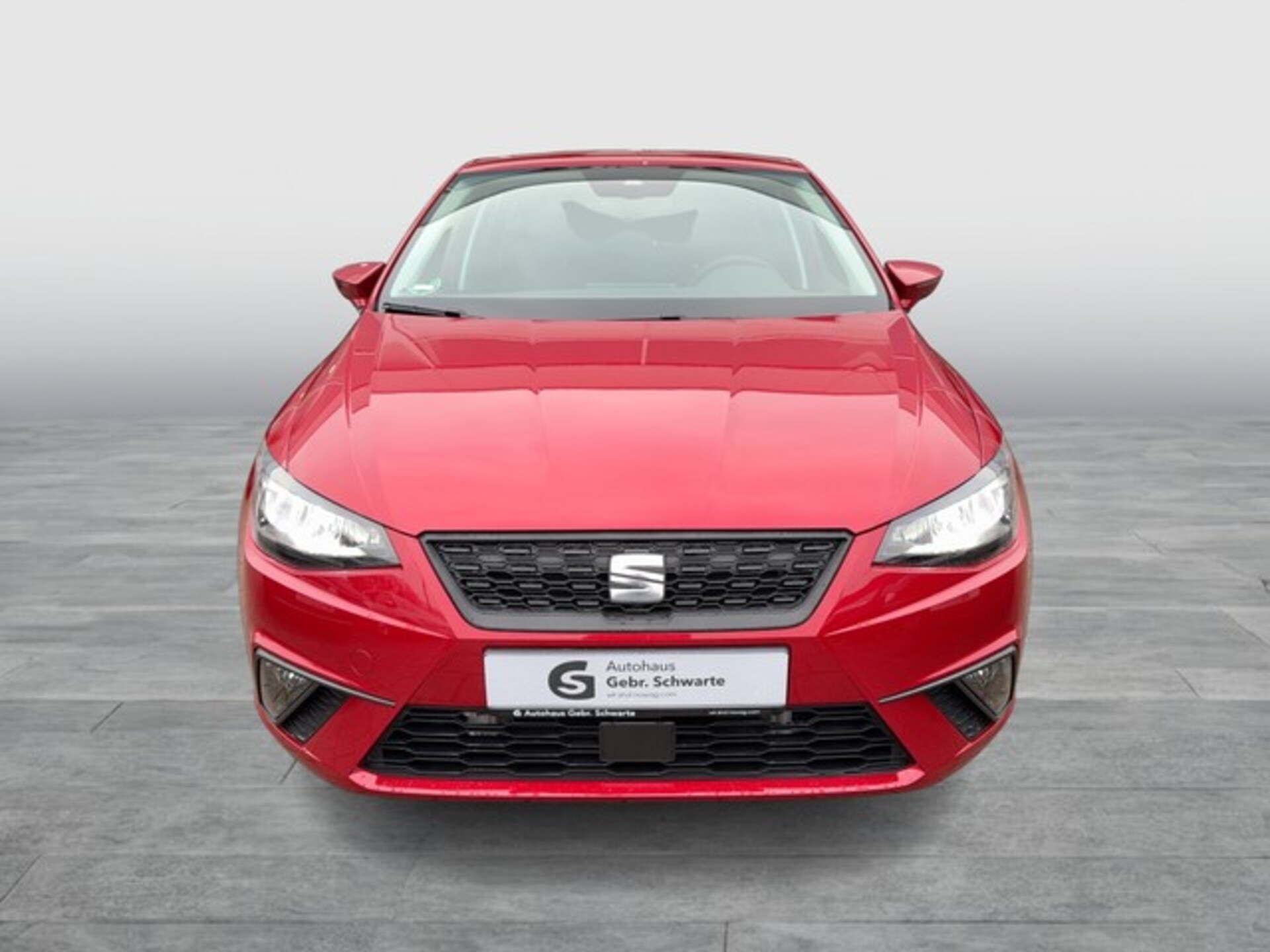 SEAT Ibiza Style