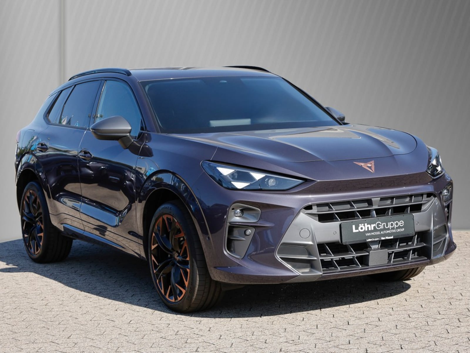 CUPRA Terramar – Bild 3