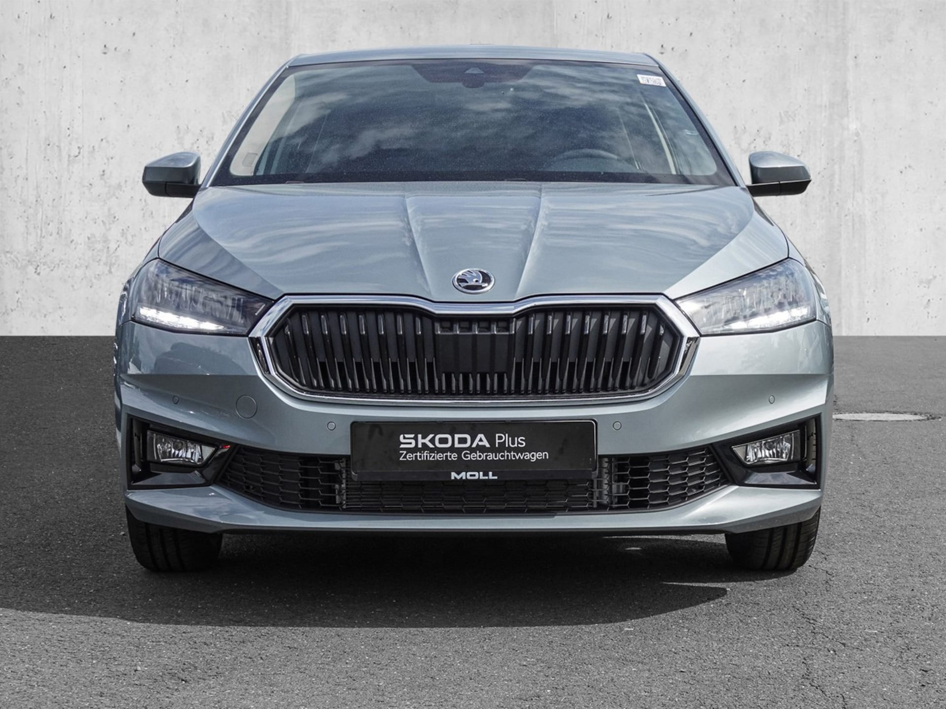 Skoda Fabia Selection