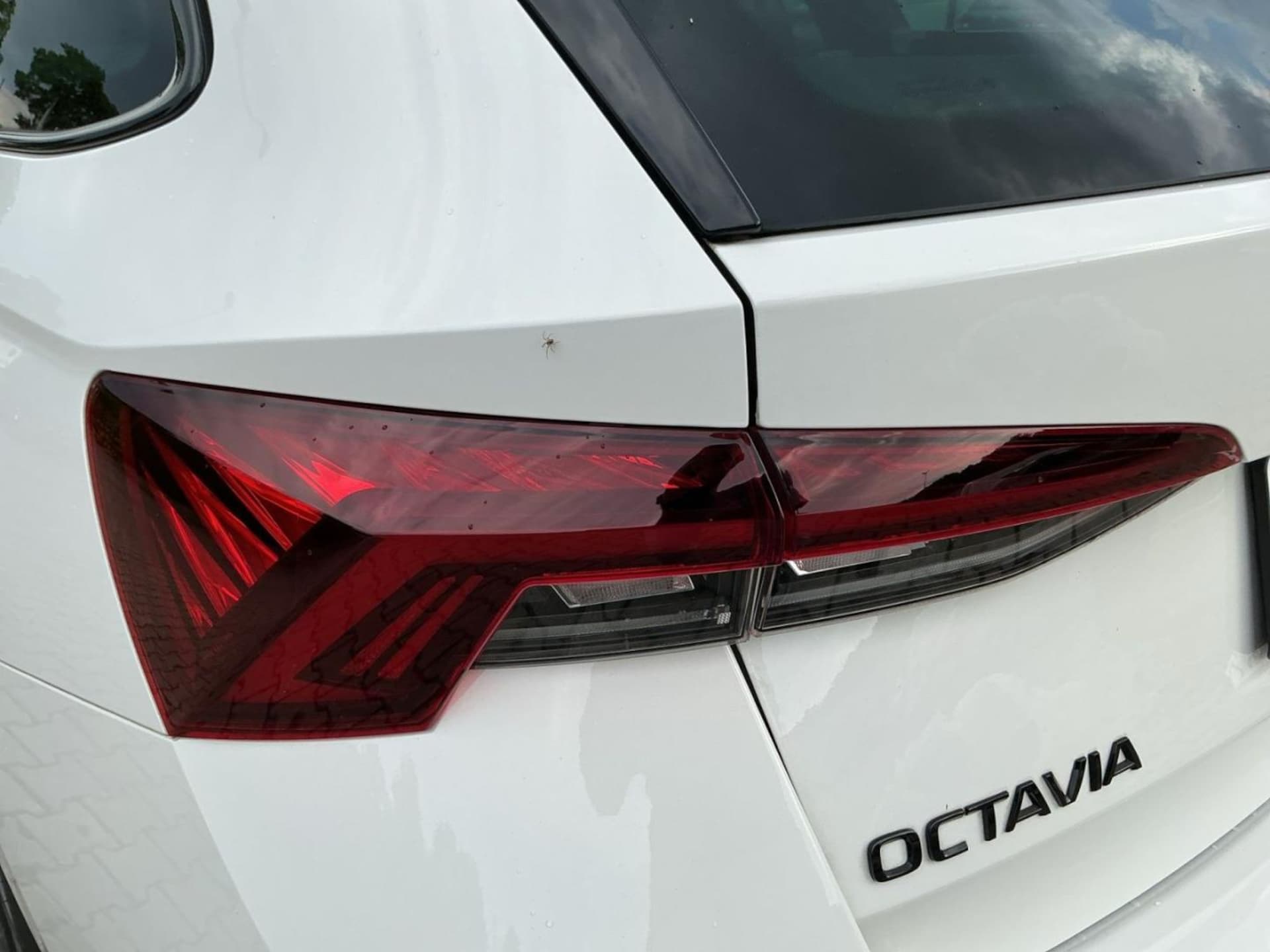 Skoda Octavia Combi RS