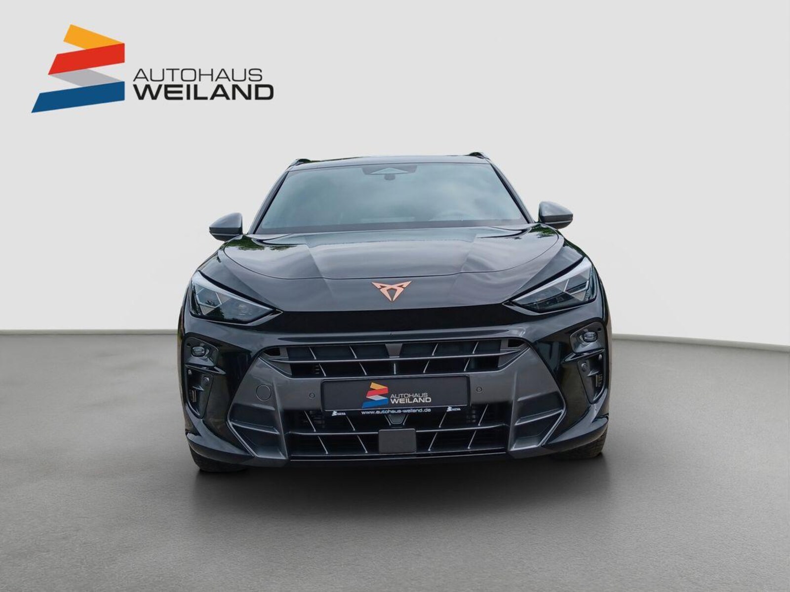 CUPRA Terramar – Bild 2