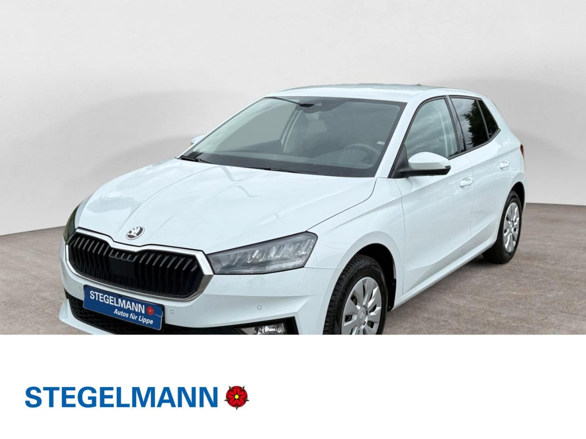 Skoda Fabia Selection