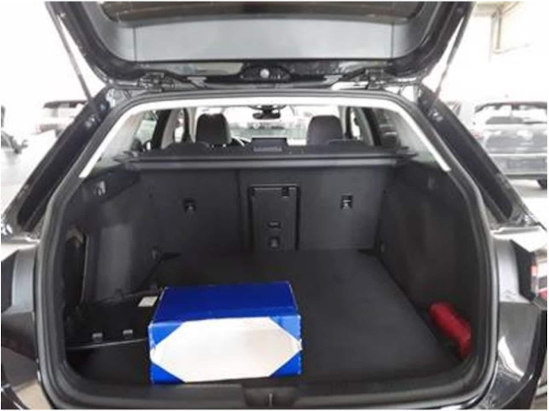 Volkswagen Golf Variant Goal