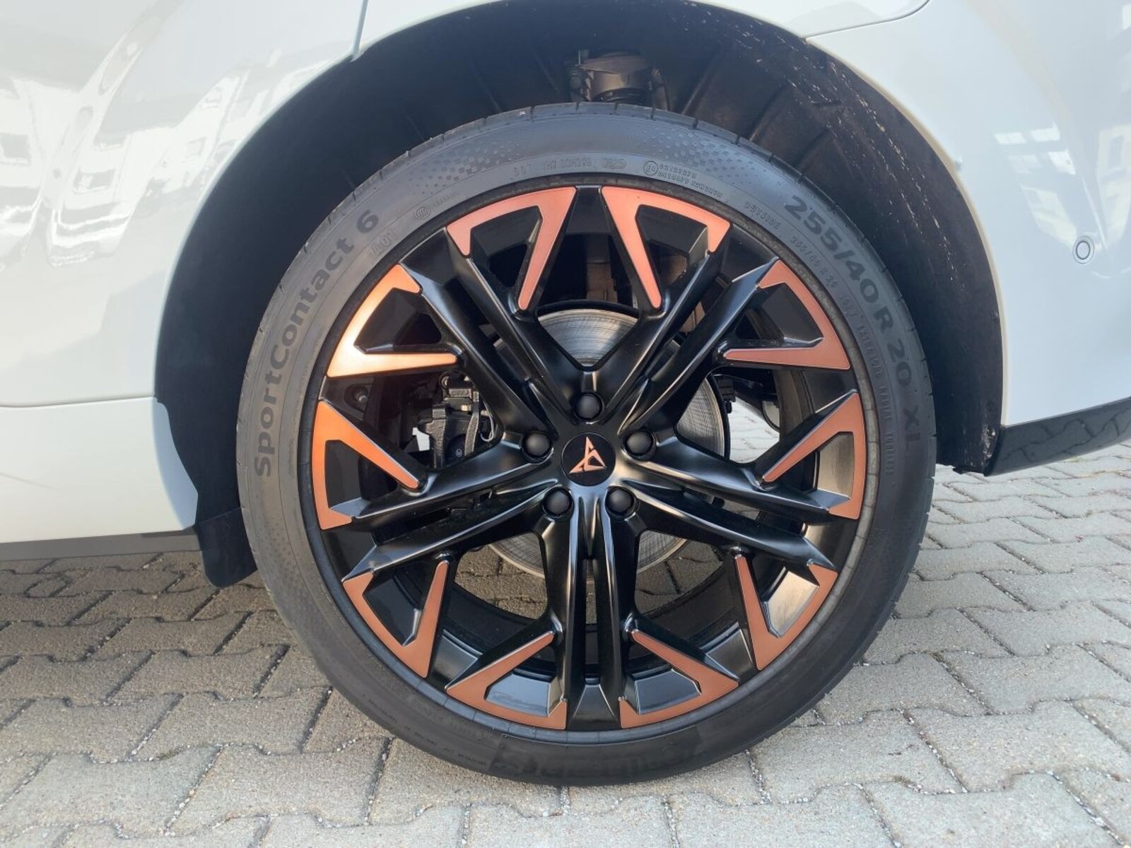 CUPRA Terramar – Bild 12