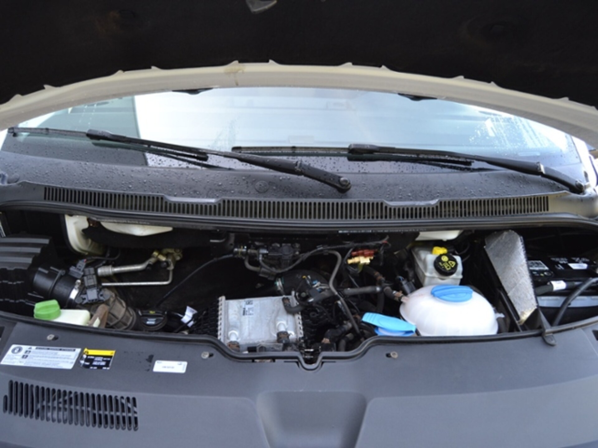 Volkswagen T6 Transporter Kasten kurzer Radstand