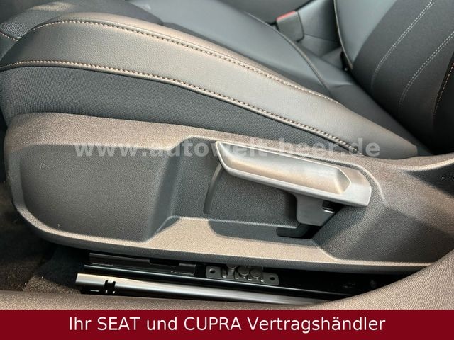 Bild des Autos 13