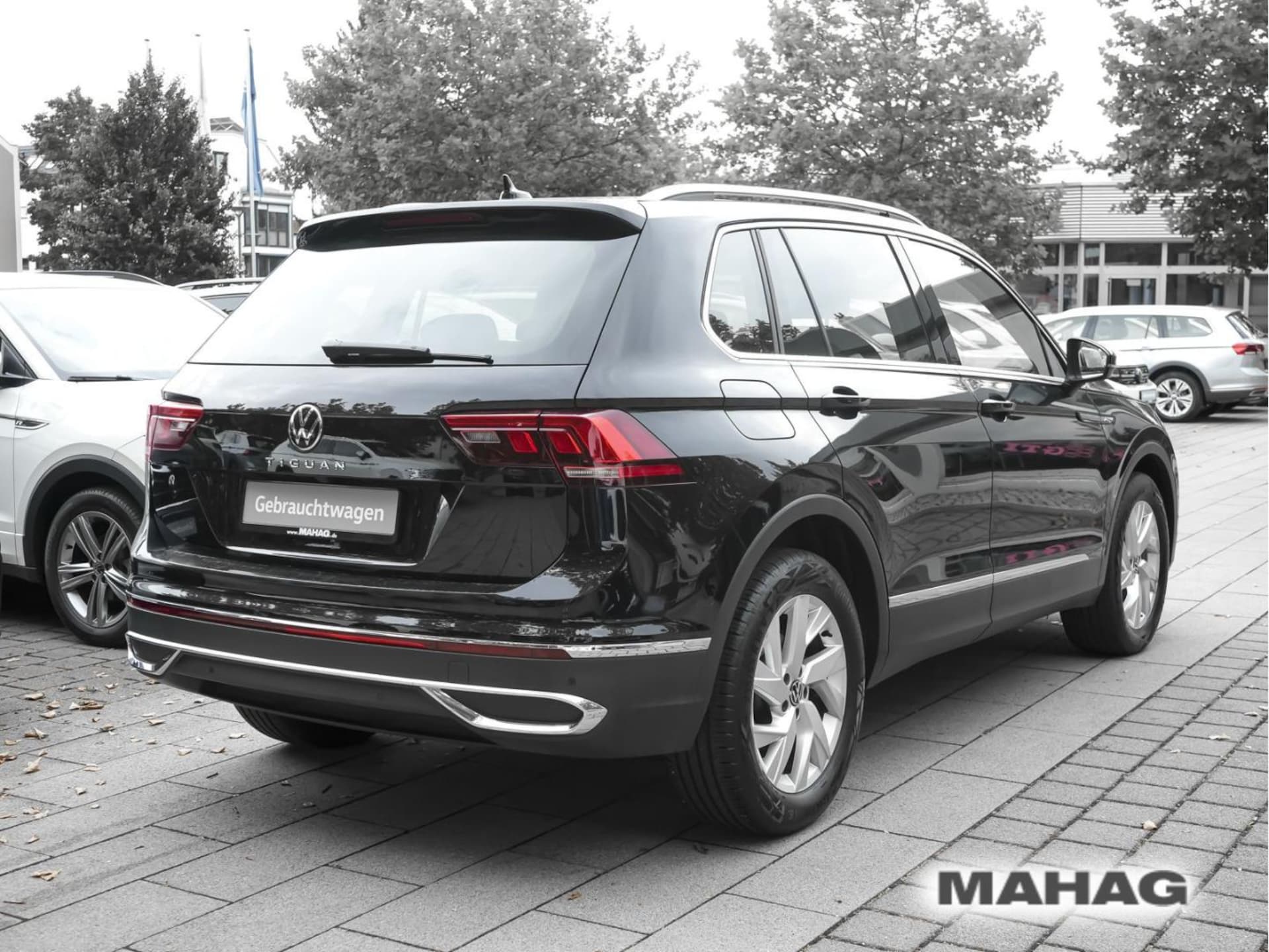 Volkswagen Tiguan Elegance