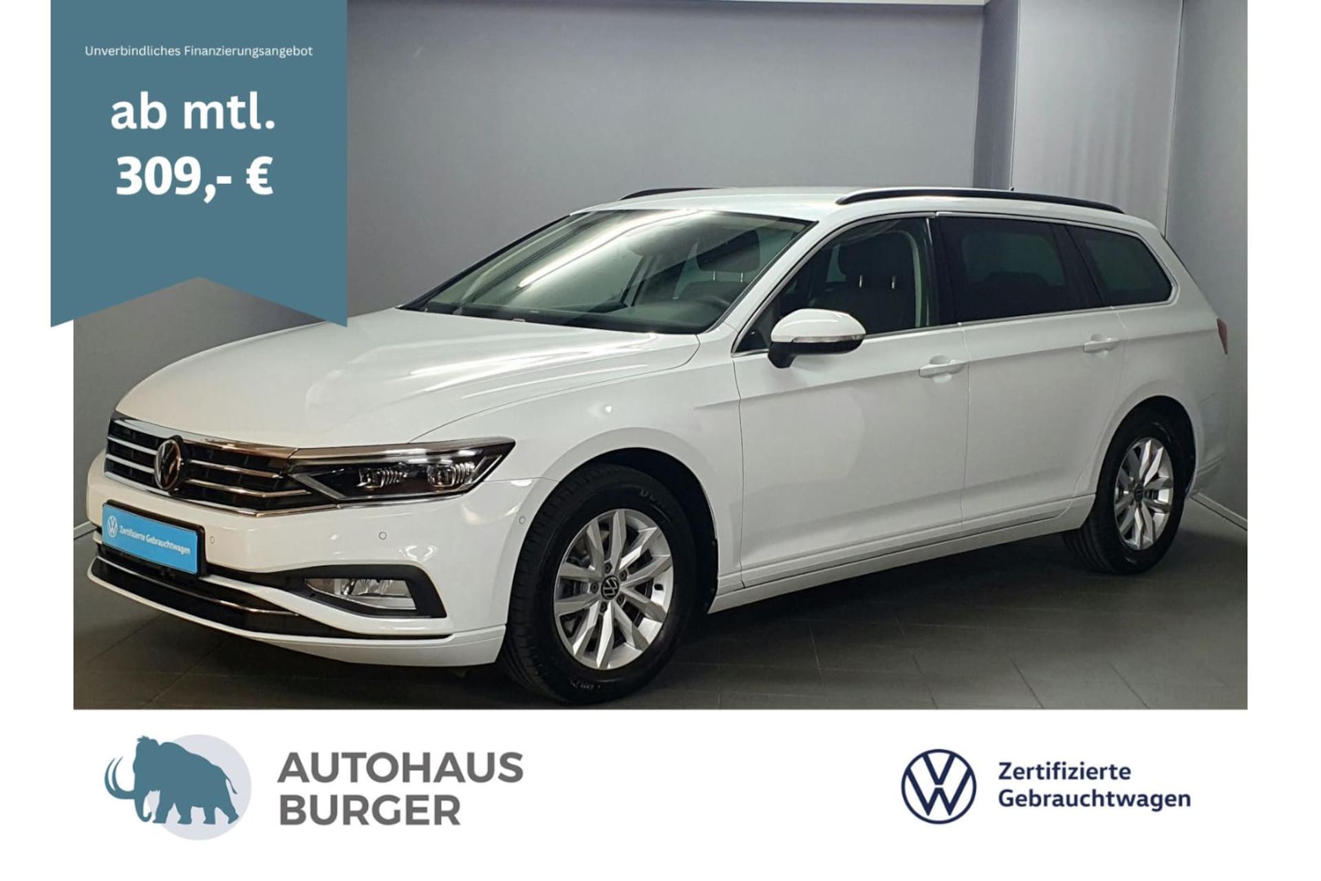 Volkswagen Passat Variant Business