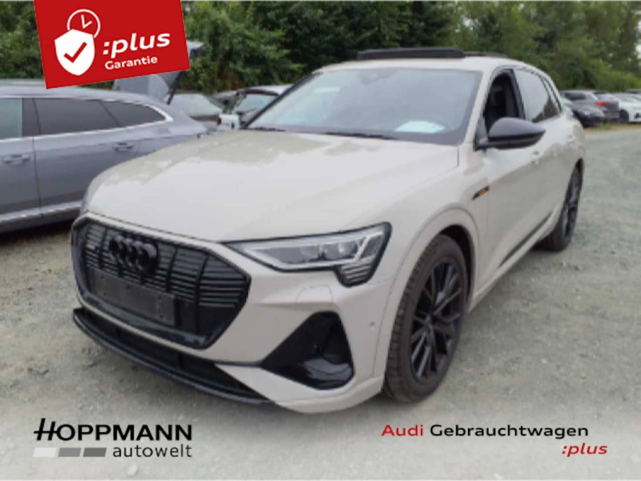 Audi e-tron occasion