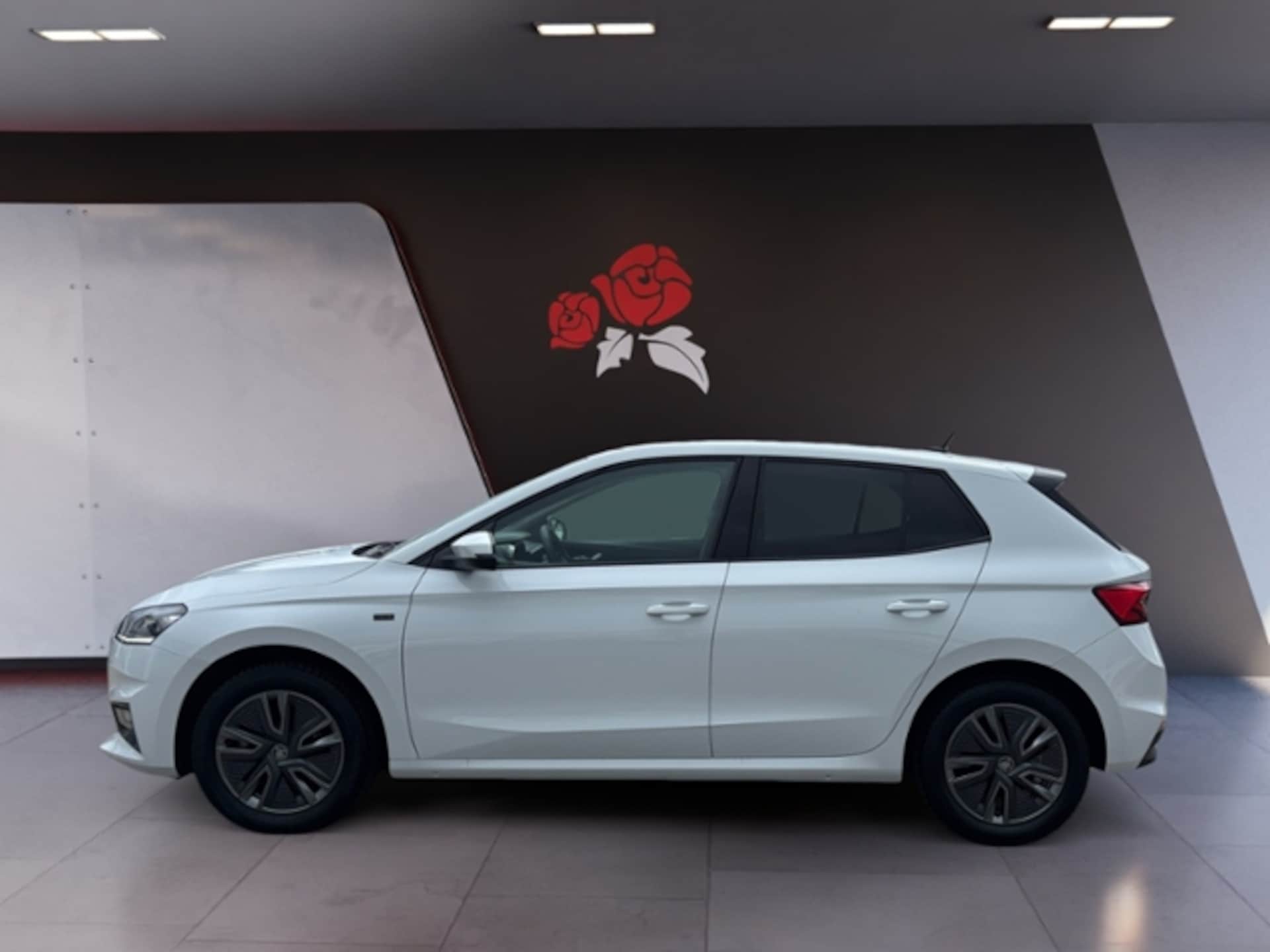 Skoda Fabia Tour