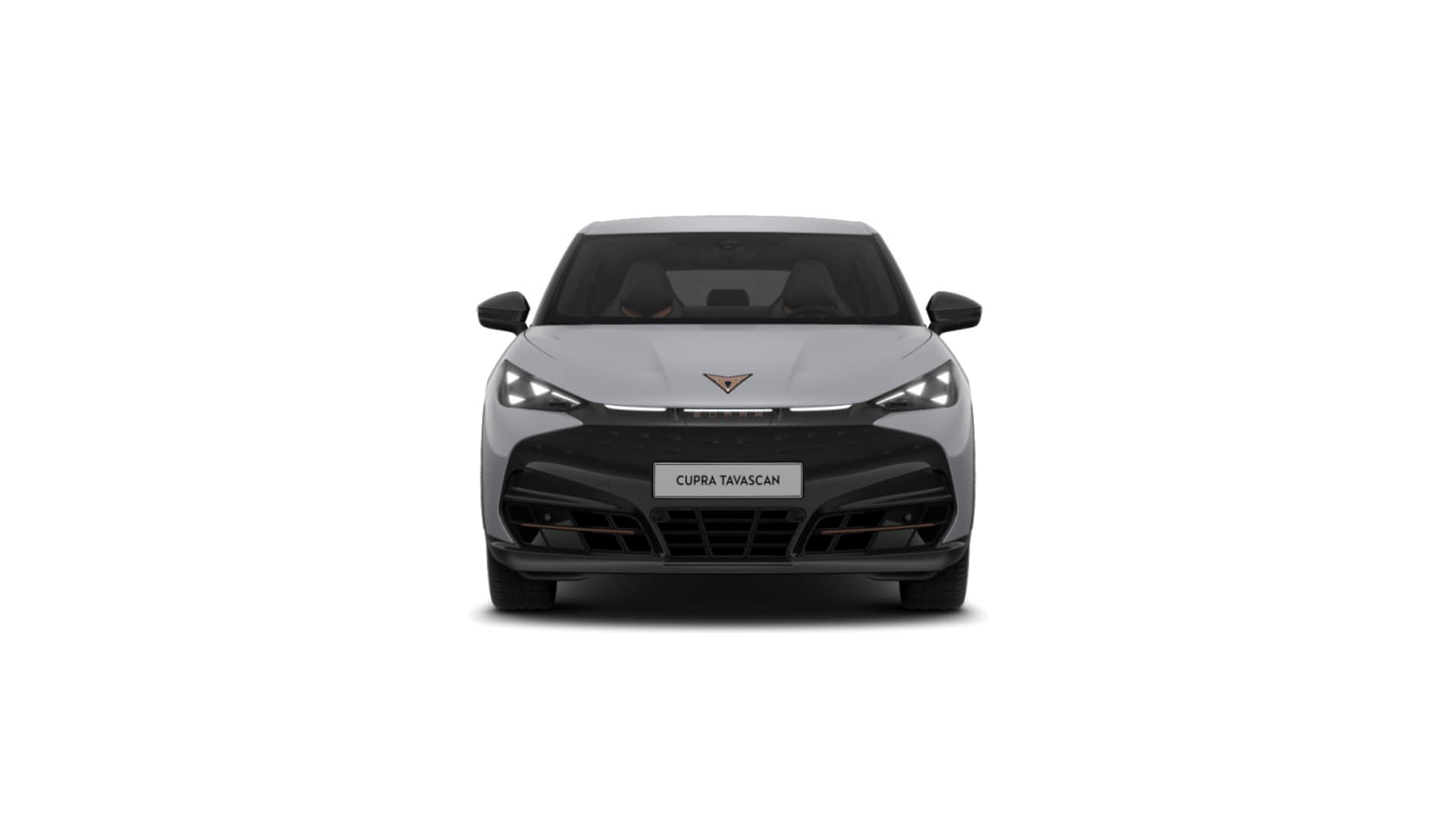 CUPRA Tavascan Endurance