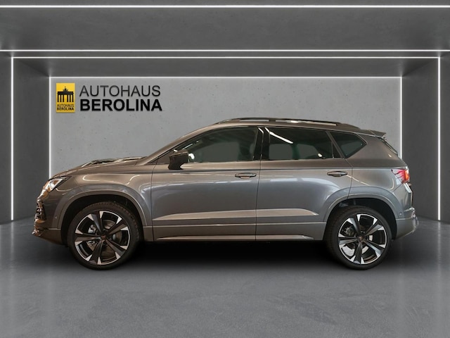 Bild des Autos 5