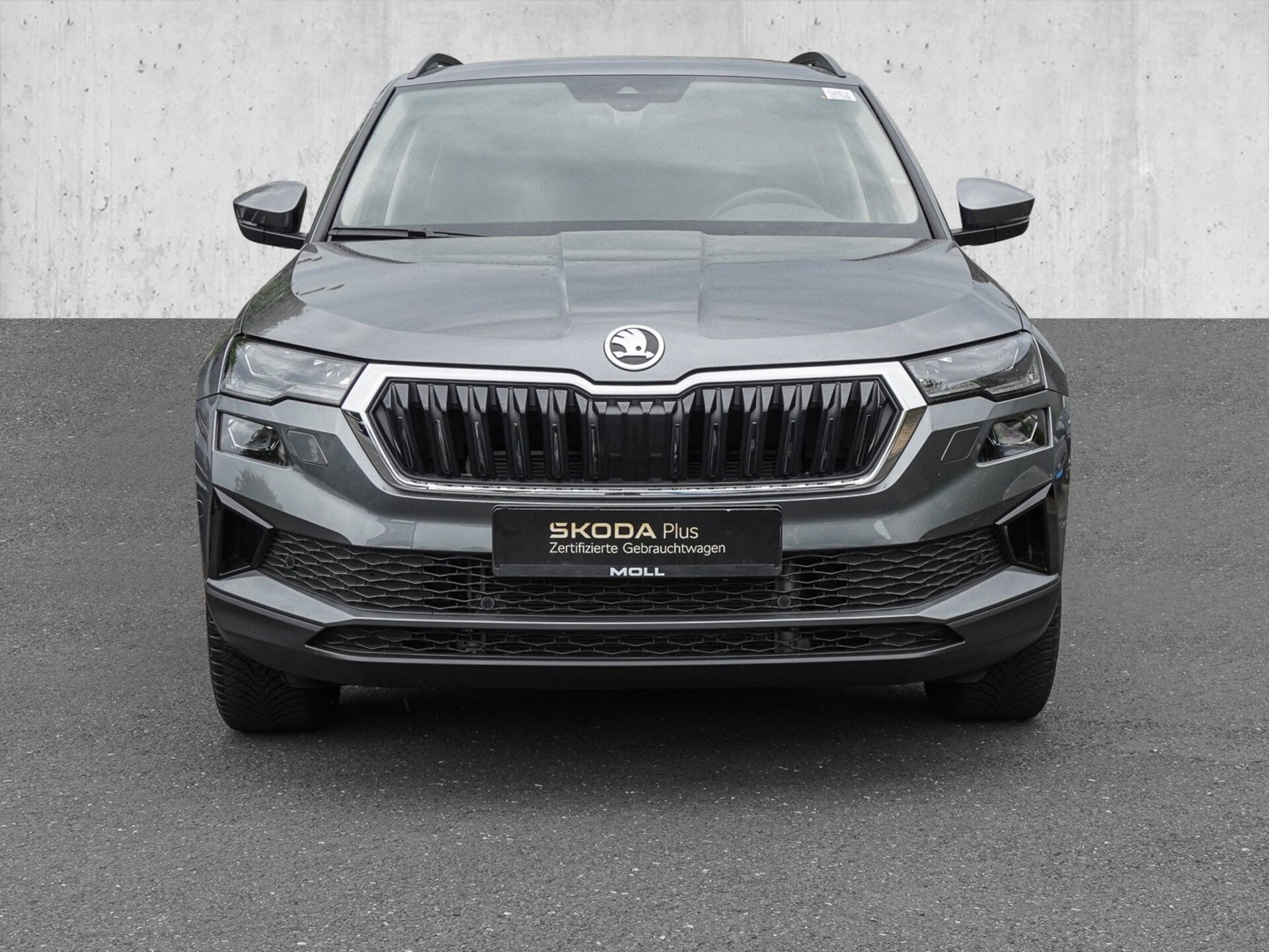 Skoda Karoq Selection