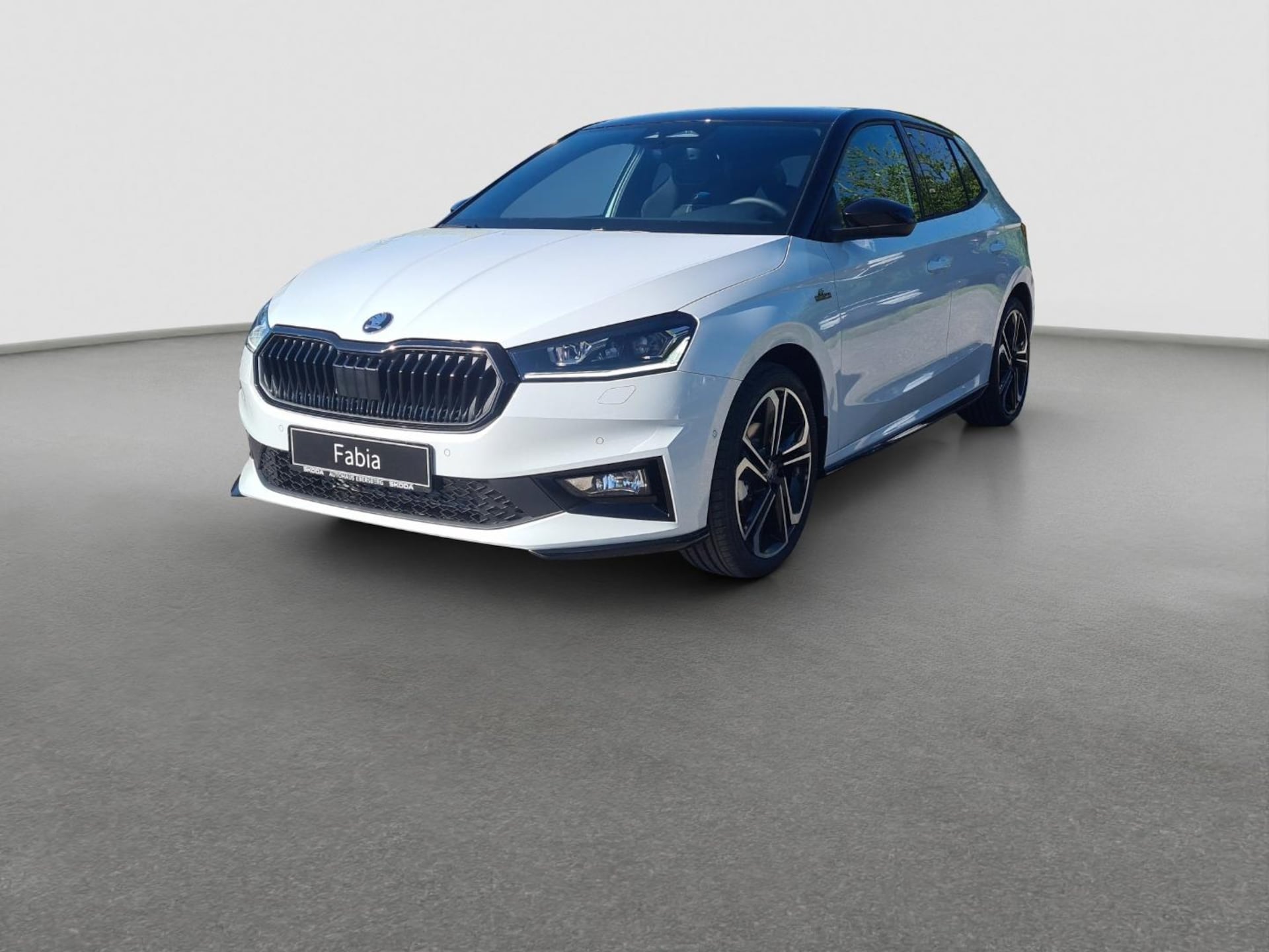 Skoda Fabia Monte Carlo