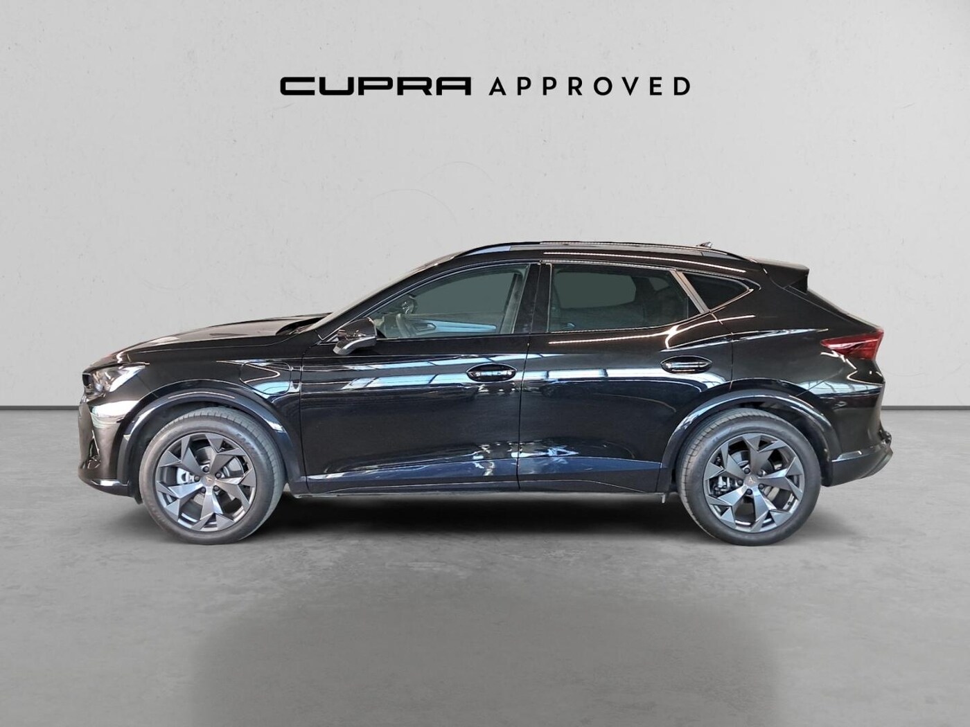 CUPRA Formentor 1.5 TSI e-Hybrid DSG 150 kW (204 CV) — photo 15