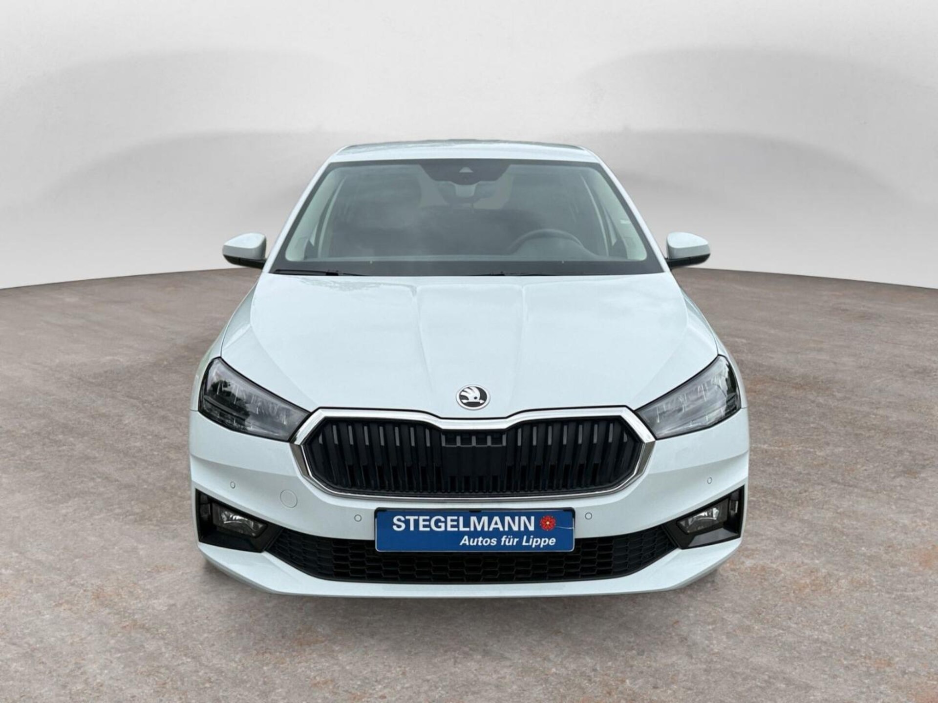 Skoda Fabia Selection