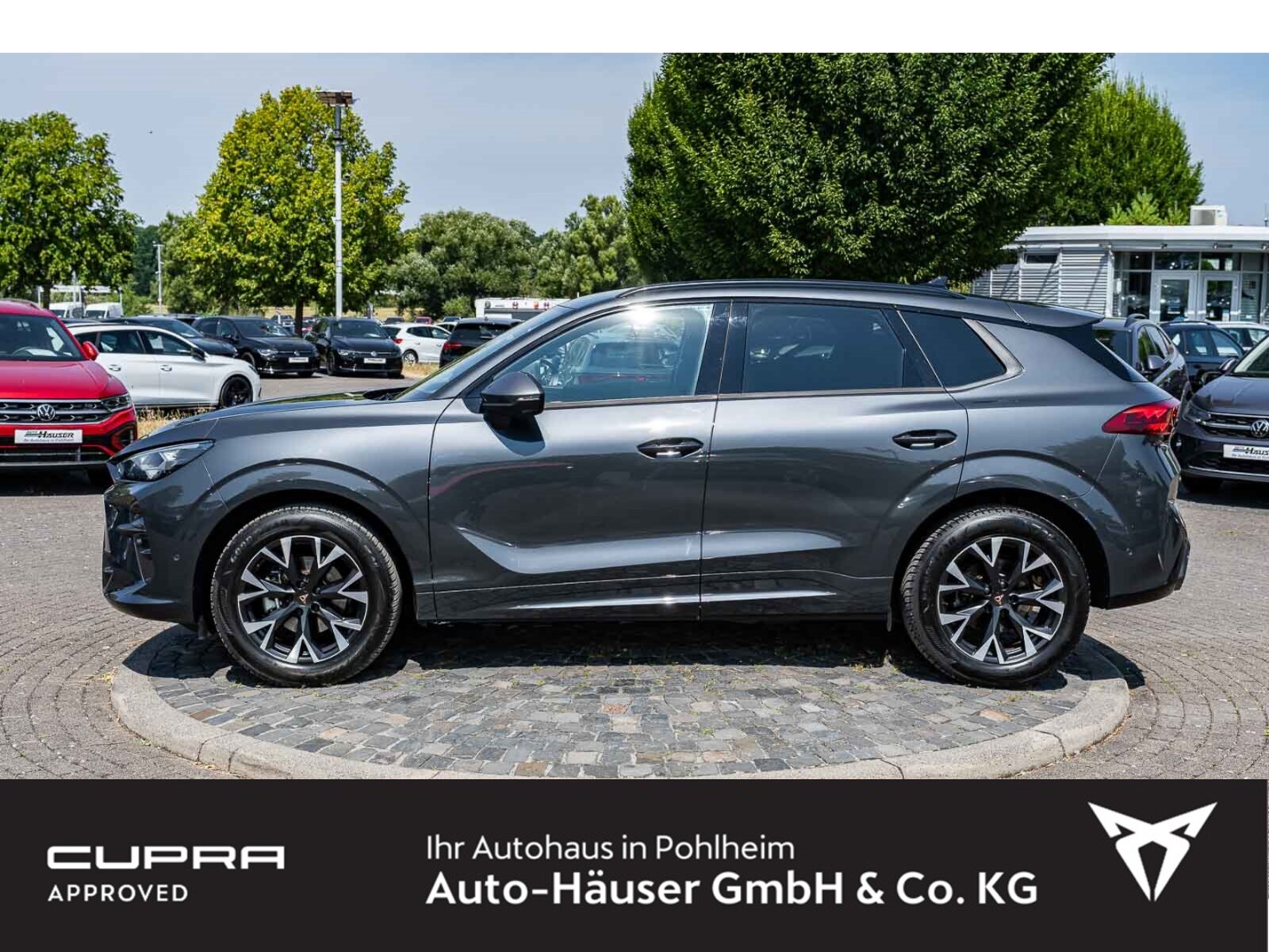 CUPRA Terramar – Bild 2