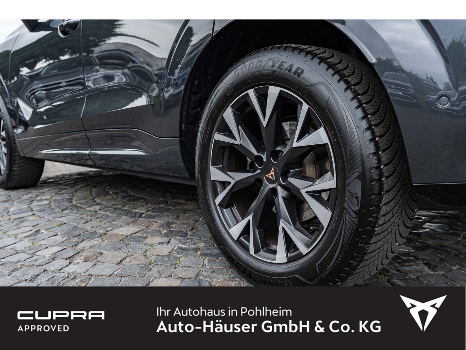 CUPRA Terramar – Bild 6