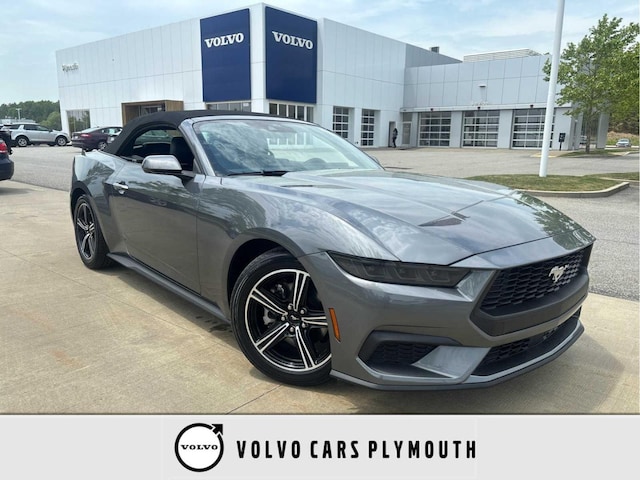 Photo of 2025 Ford Mustang
