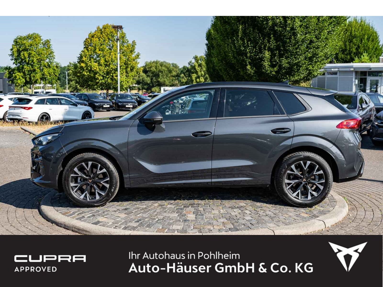 CUPRA Terramar – Bild 2