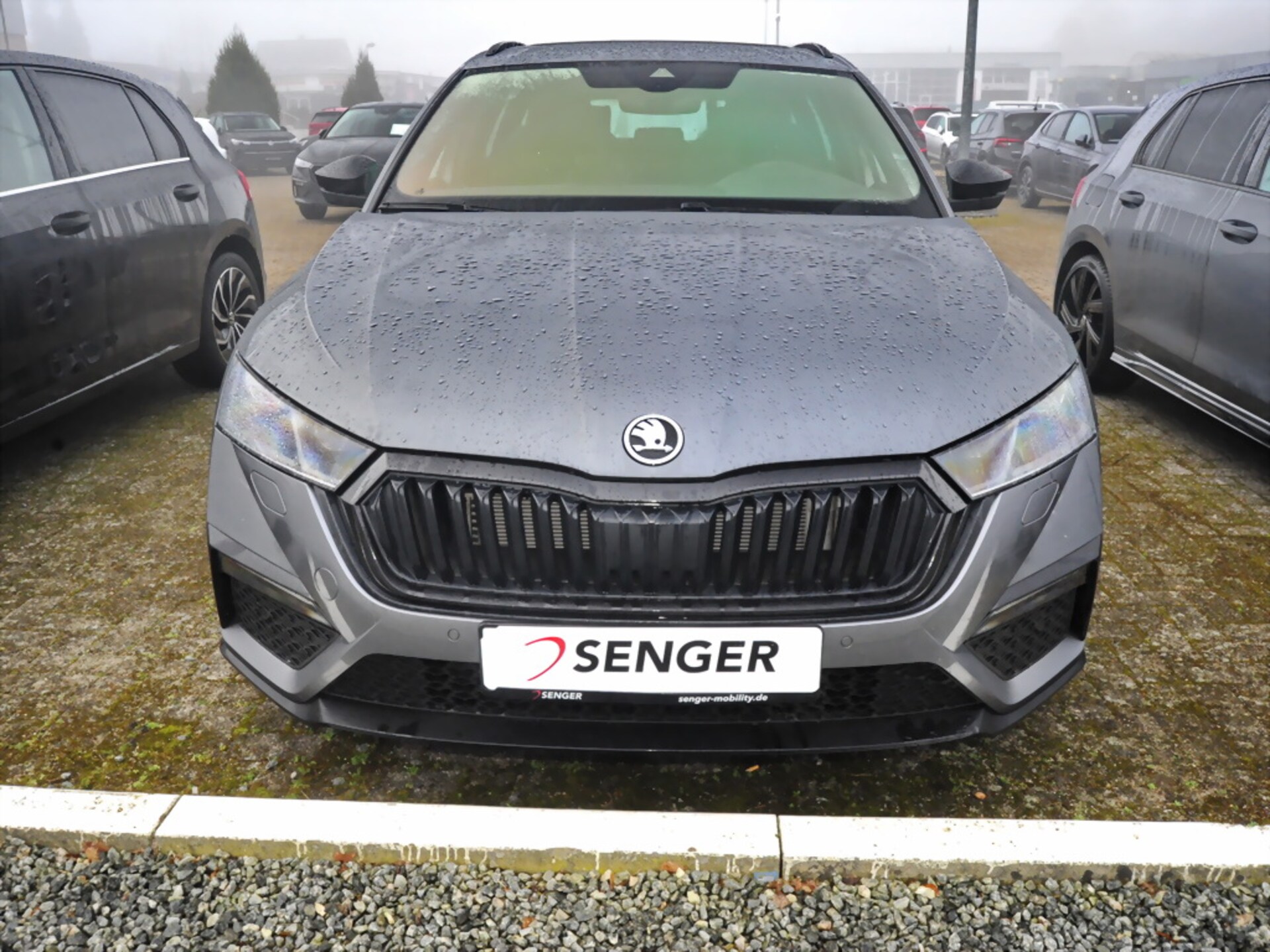Skoda Octavia Combi RS