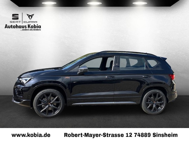 Bild des Autos 2