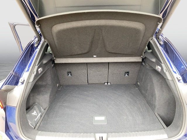 Bild des Autos 13