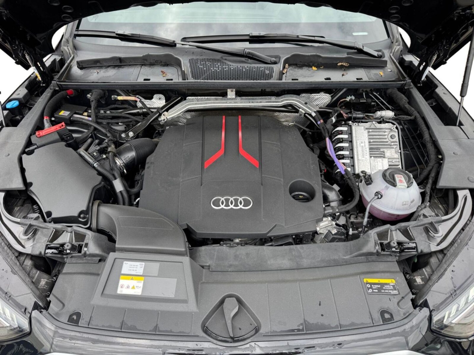 Audi SQ5 – Bild 12
