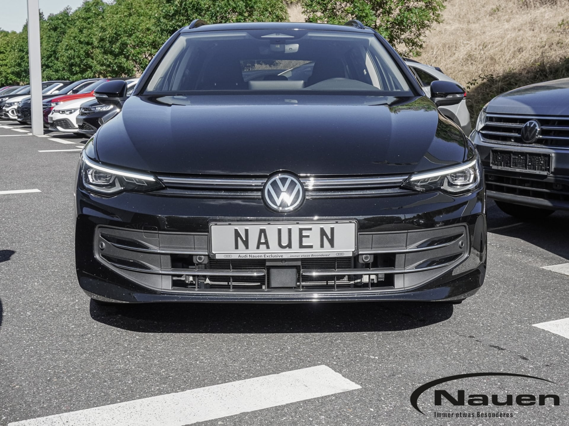 Volkswagen Golf Variant Goal