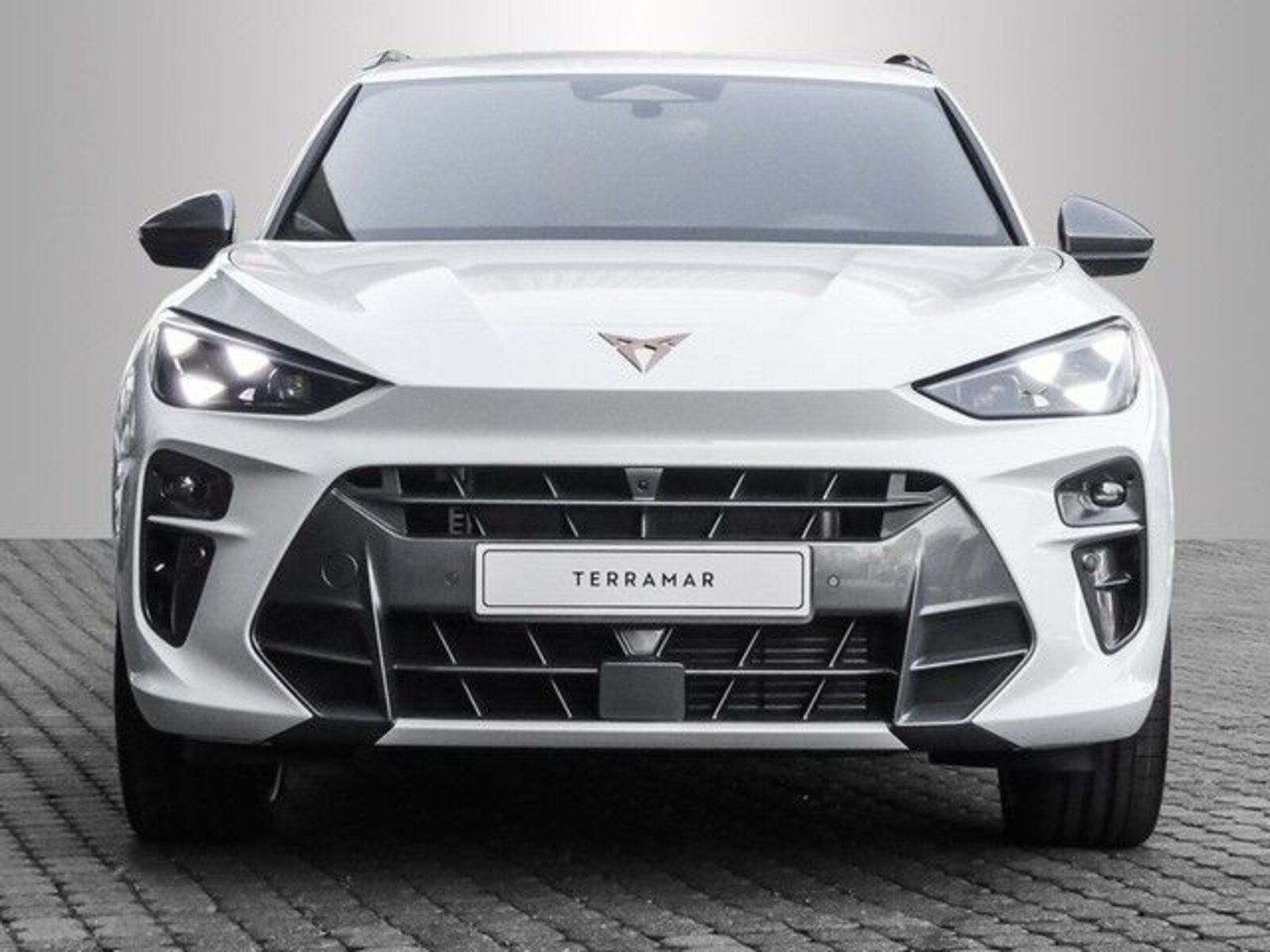 CUPRA Terramar – Bild 5