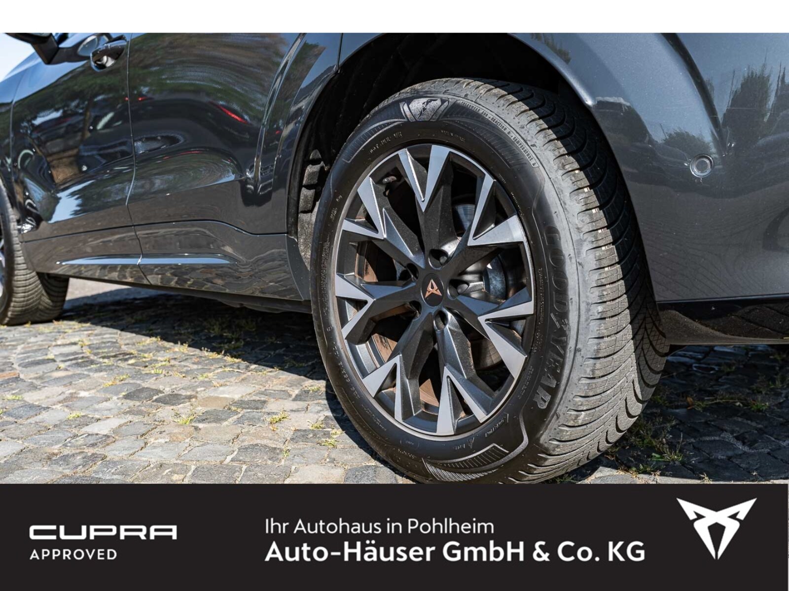 CUPRA Terramar – Bild 6