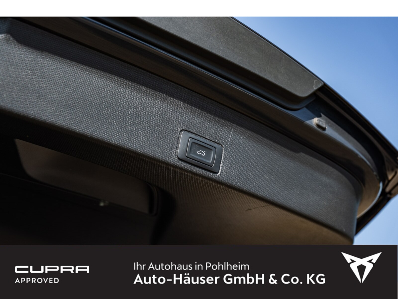 CUPRA Terramar – Bild 8