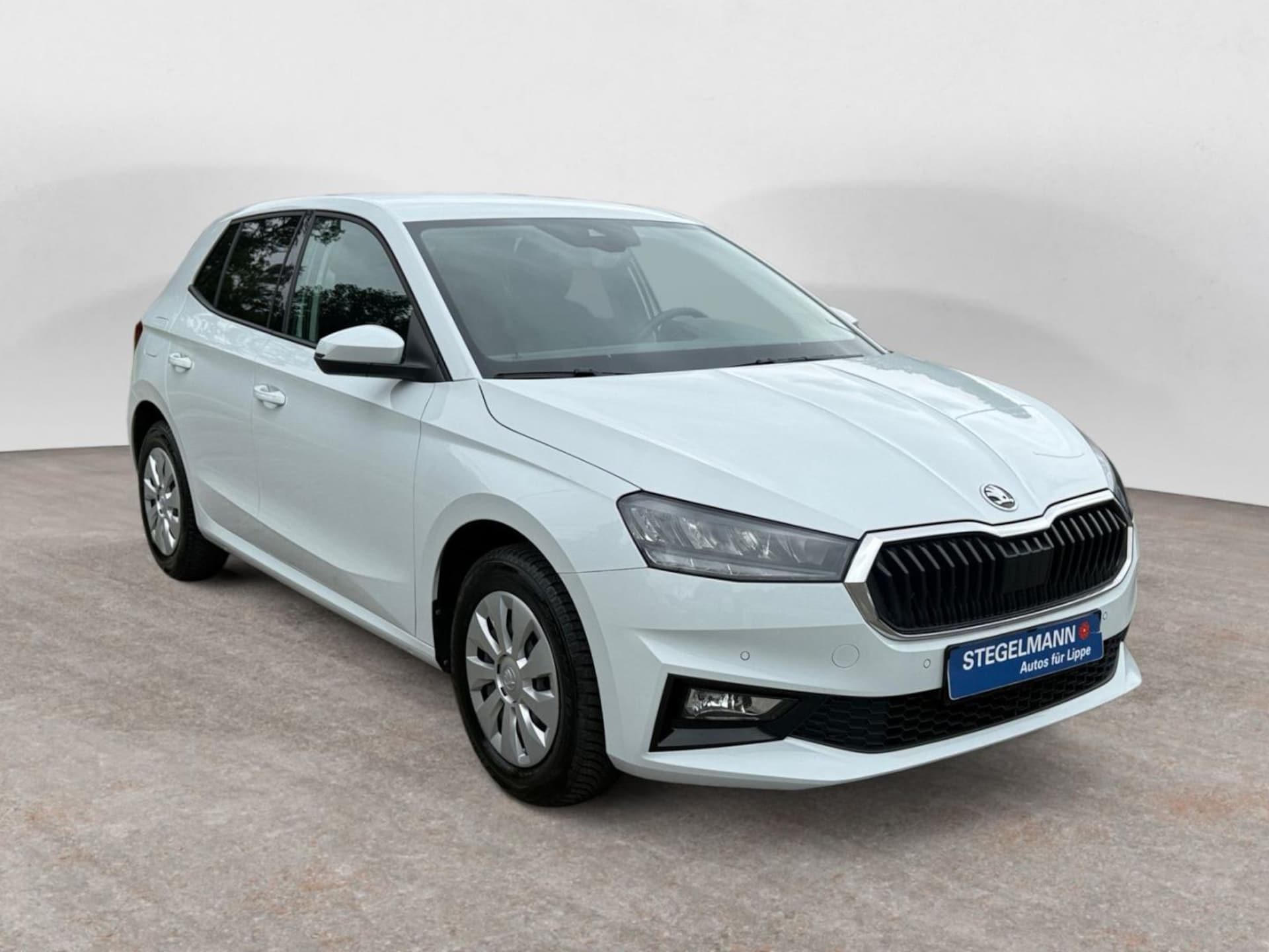 Skoda Fabia Selection